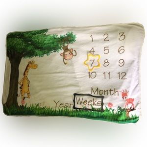 Baby Milestone Blanket